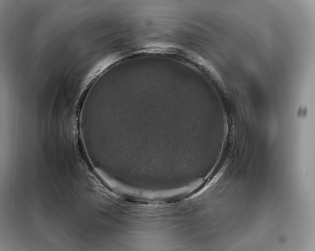 X0000099291362200805021222