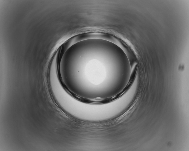 X0000099291365200805021222