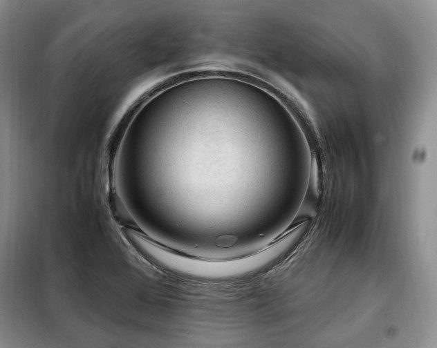 X0000099291368200805021222
