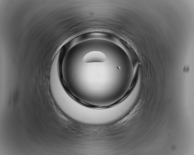 X0000099291369200805021221