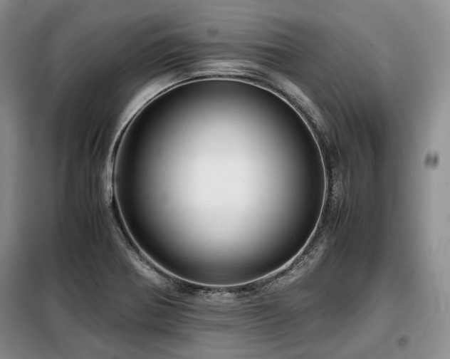 X0000099291370200805021221