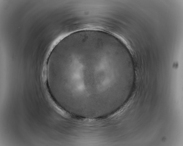 X0000099291371200805021221