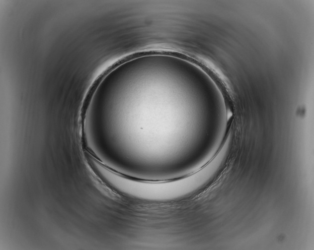 X0000099291372200805021221