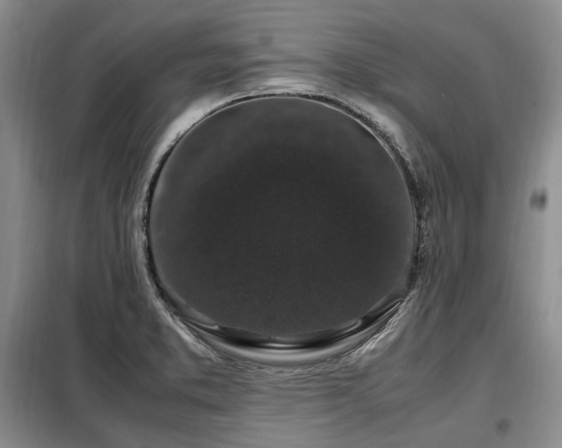 X0000099291373200805021221