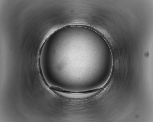 X0000099291374200805021221