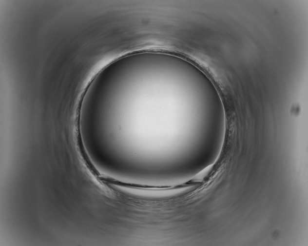 X0000099291375200805021221