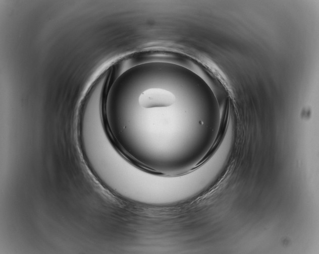 X0000099291376200805021221