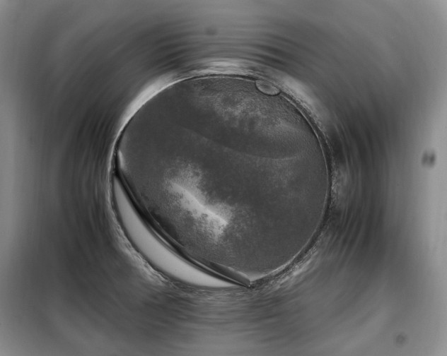 X0000099291378200805021221