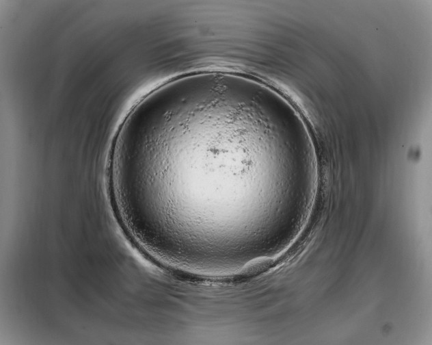 X0000099291379200805021221