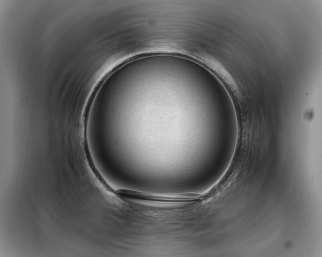 X0000099291380200805021221