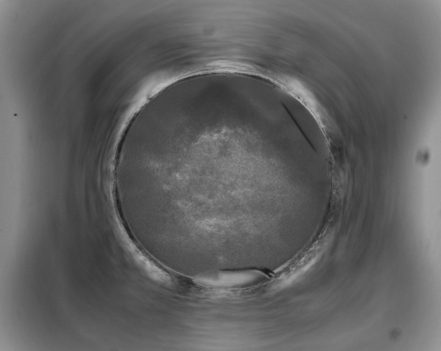 X0000099291381200805021221