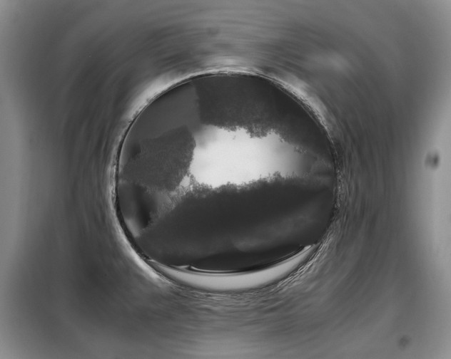 X0000099291383200805021221
