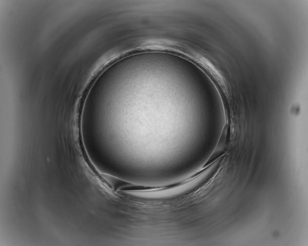 X0000099291384200805021221