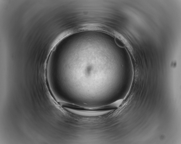X0000099291386200805021221
