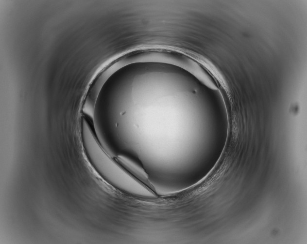 X0000099291388200805021221