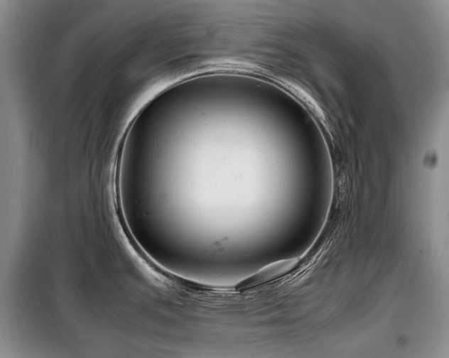 X0000099291391200805021221
