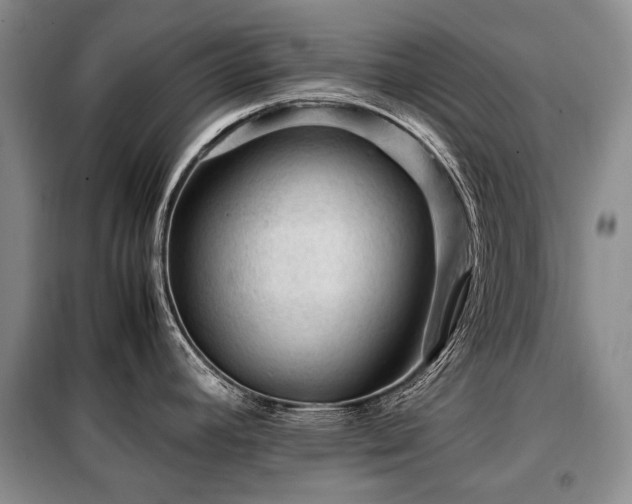 X0000099291392200805021221
