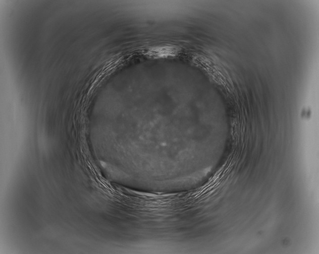 X0000099291393200805021221