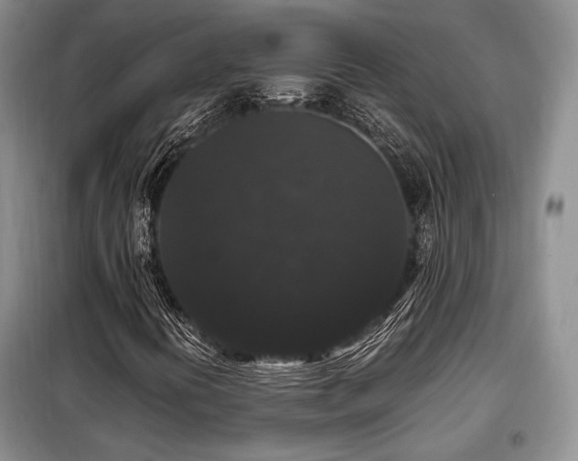 X0000099291394200805021221