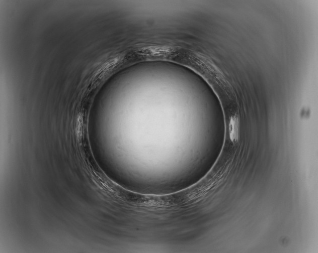 X0000099291395200805021221