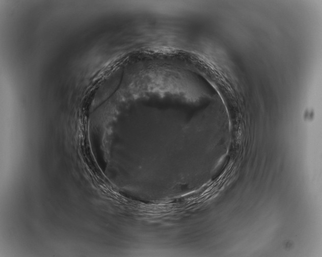X0000099291397200805021221