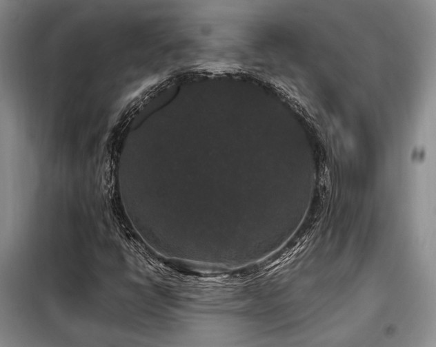 X0000099291398200805021221