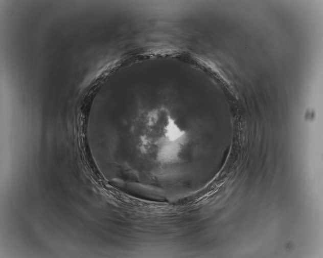X0000099291399200805021221