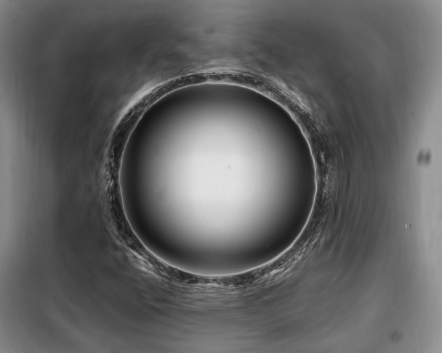 X0000099291400200805021221