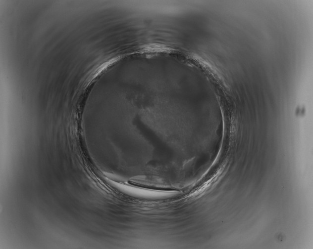 X0000099291401200805021221