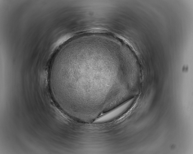 X0000099291402200805021221