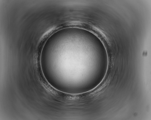 X0000099291403200805021221