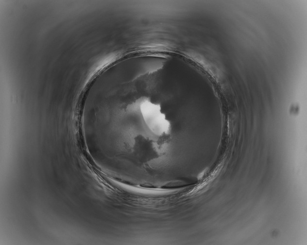 X0000099291405200805021221