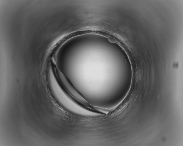 X0000099291406200805021221