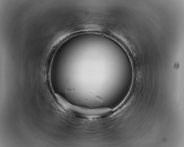 X0000099291407200805021221