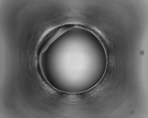 X0000099291408200805021221