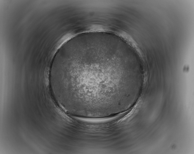 X0000099291409200805021221