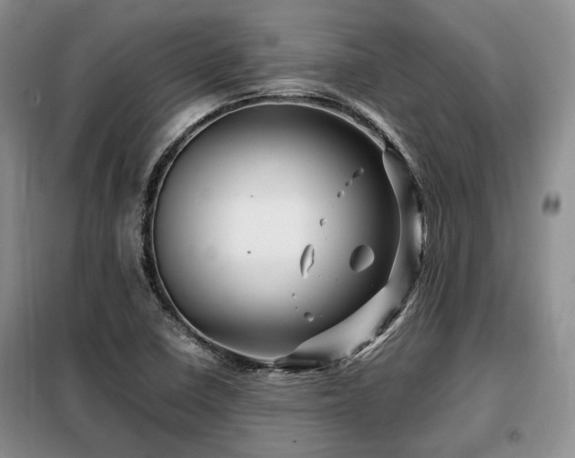 X0000099291410200805021221