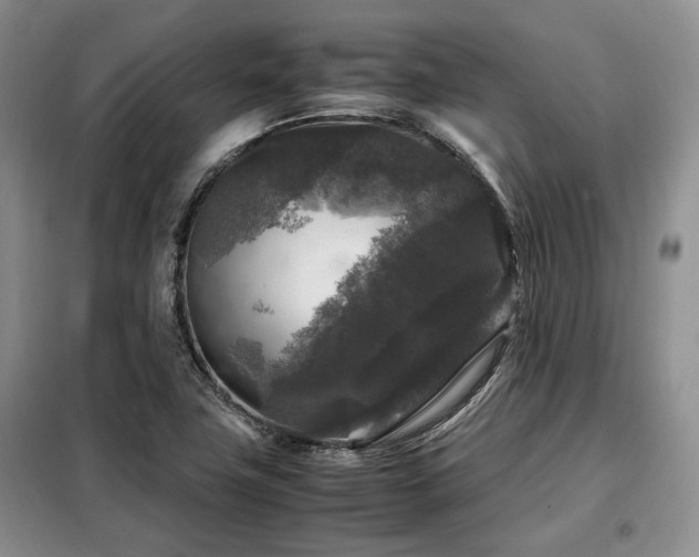 X0000099291411200805021221
