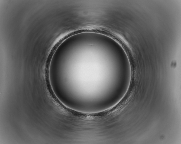 X0000099291412200805021221