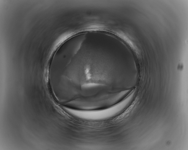X0000099291413200805021221