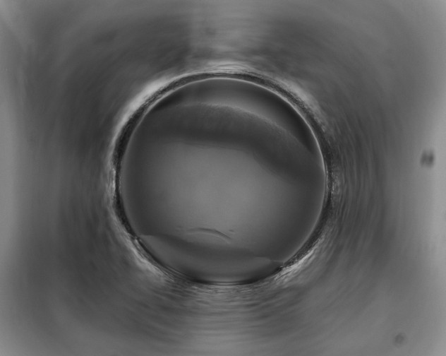 X0000099291414200805021221