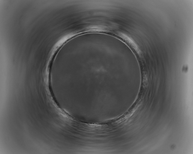 X0000099291419200805021221