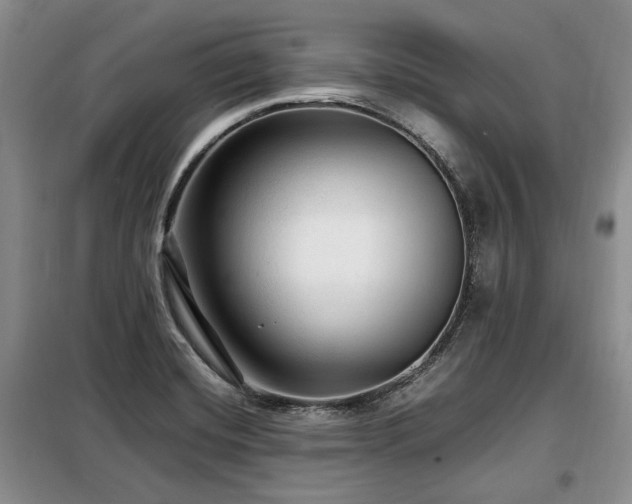 X0000099291420200805021221