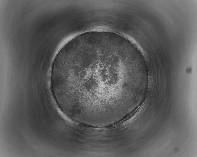 X0000099291421200805021221