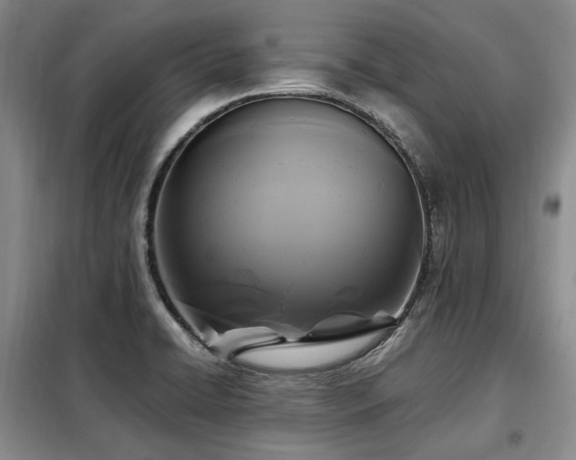 X0000099291422200805021221