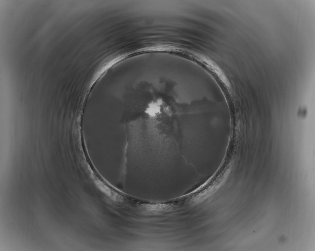 X0000099291425200805021221