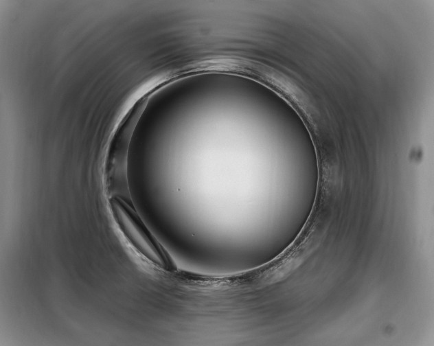 X0000099291426200805021221