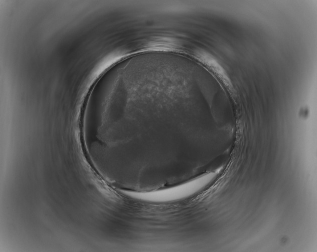 X0000099291427200805021221