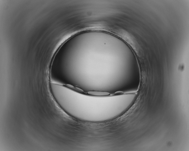X0000099291428200805021221