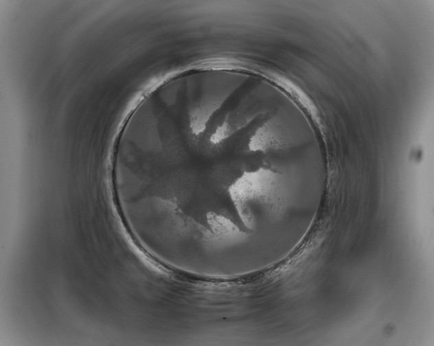 X0000099291429200805021221